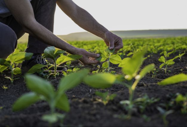 Sustainability Report FY 2024-25